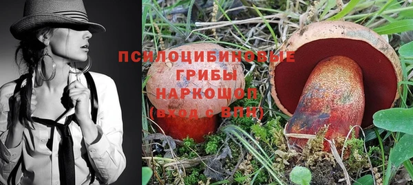 трава Алзамай
