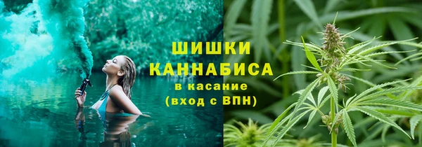 трава Алзамай